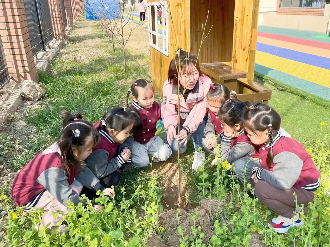 不負春光，“植”得期待|培文幼兒園植樹節活動